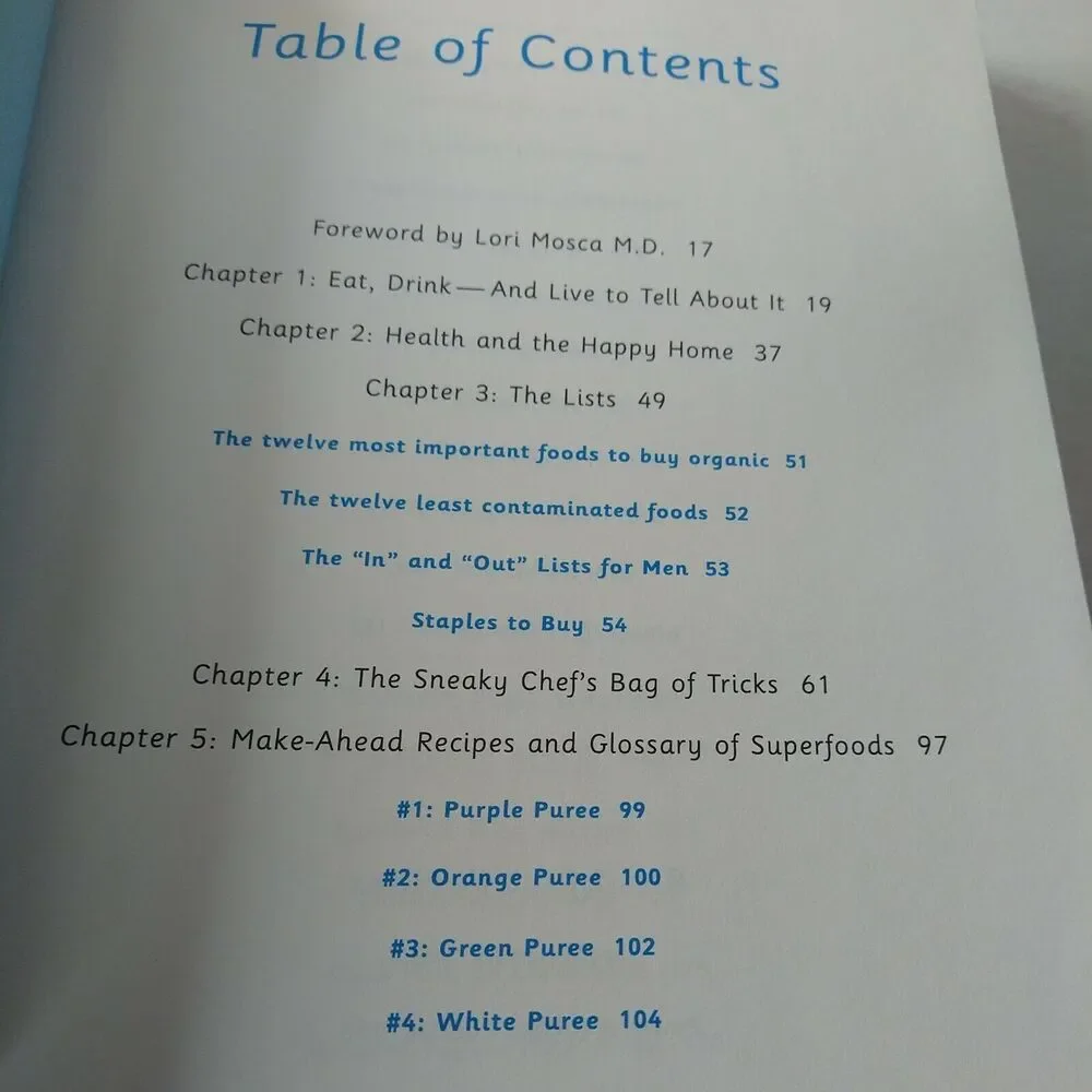 Sneaky Chef How to Cheat on Your Man ( In the Kitchen ) Cookbook Healthy Eating